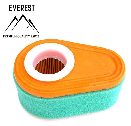 AIR FILTER BRIGGS&STRATTON DOV EVEREST