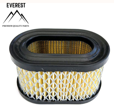 AIR FILTER BRIGGS&STRATTON QUANTUM LOW EVEREST