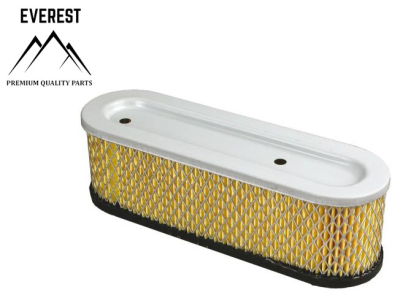 AIR FILTER BRIGGS&STRATTON 10HP-12HP EVEREST